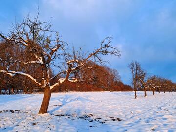TGO Winterwanderung