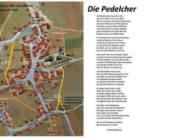 Pedelcher