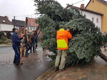 Weihnachtsbaumstellen 2022