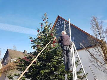 Haaböck schmücken den Baum 2022