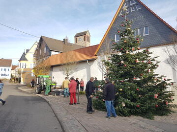 Haaböck schmücken den Baum 2022