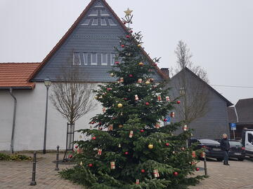 Weihnachtsbaum 2022 bei Tag