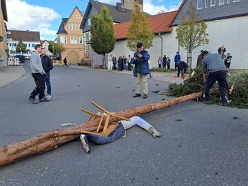 Kerbebaum fällen 2023