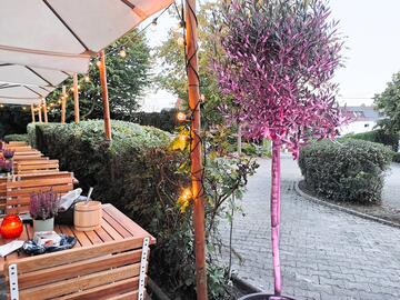 Taunusgarten Terrasse