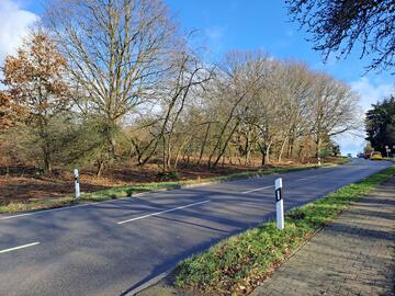 Freie Sicht - Wildwechsel