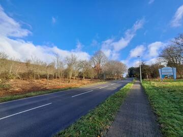 Freie Sicht - Wildwechsel