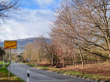Freie Sicht - Wildwechsel