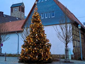Weihnachtsbaum 2025