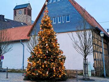 Weihnachtsbaum 2025